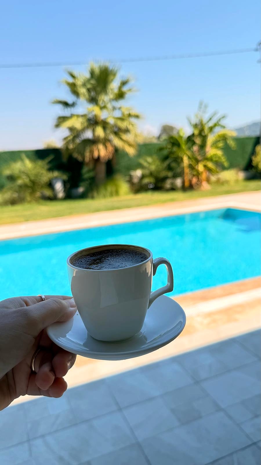 The pool