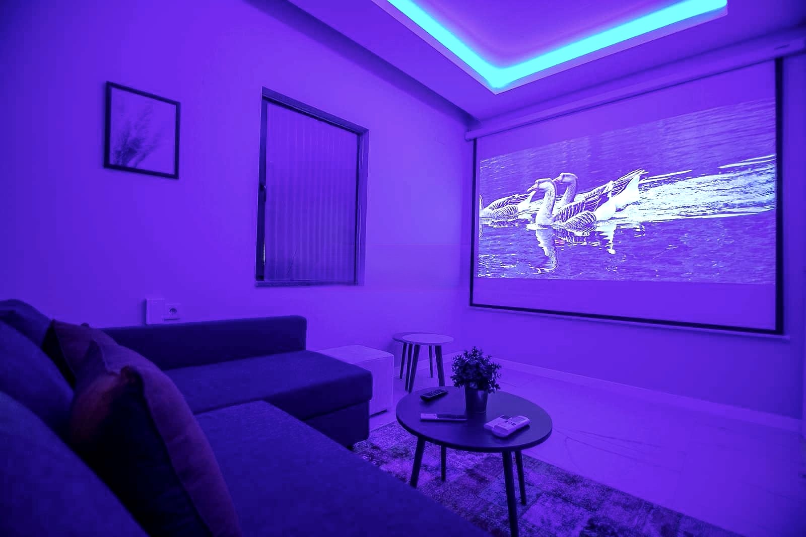 Cinema room